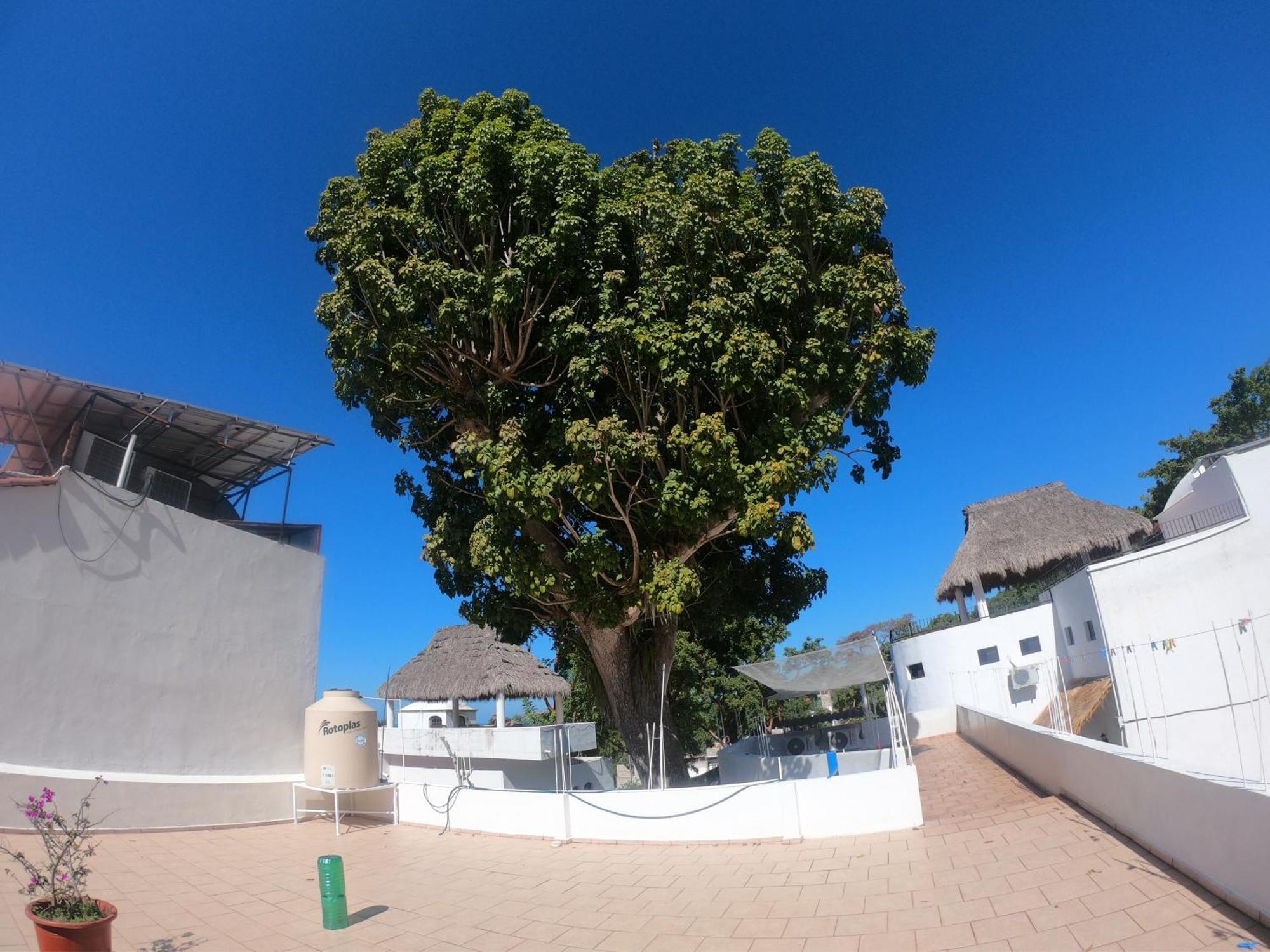 Casa Arbol De Paz Habitacion Doble شاكالا المظهر الخارجي الصورة