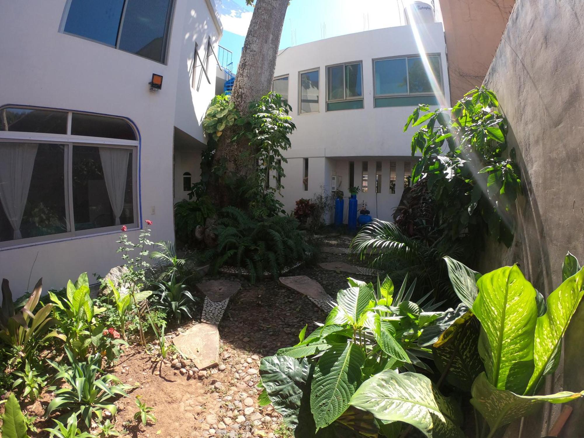 Casa Arbol De Paz Habitacion Doble شاكالا المظهر الخارجي الصورة